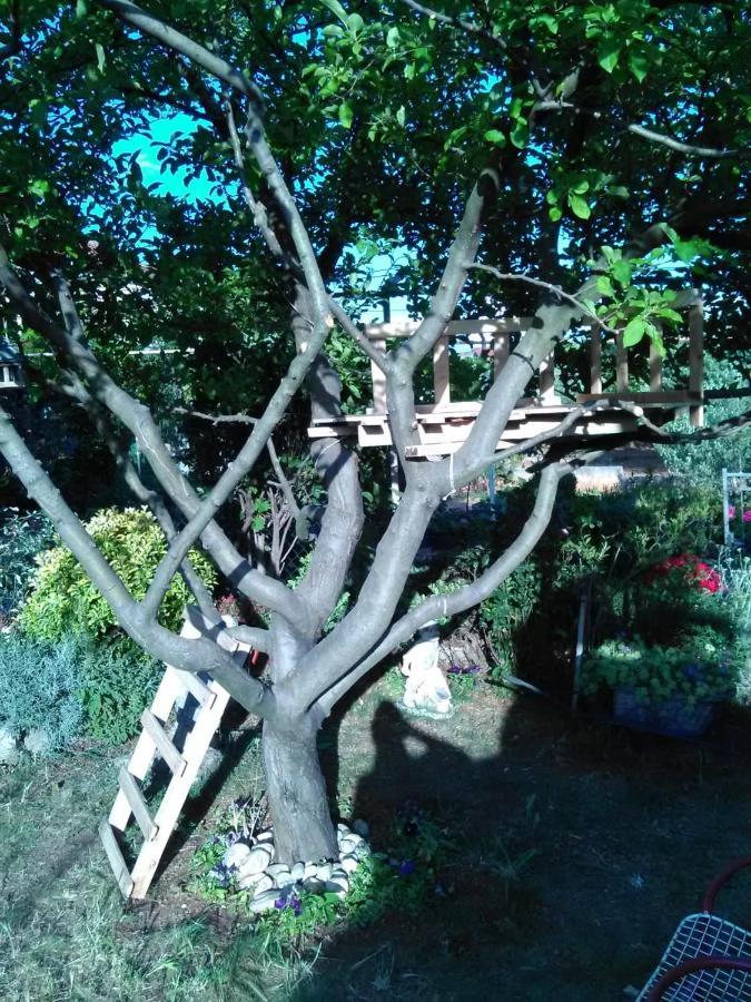 Apartmani Nado Majica Sveti Filip i Jakov Εξωτερικό φωτογραφία